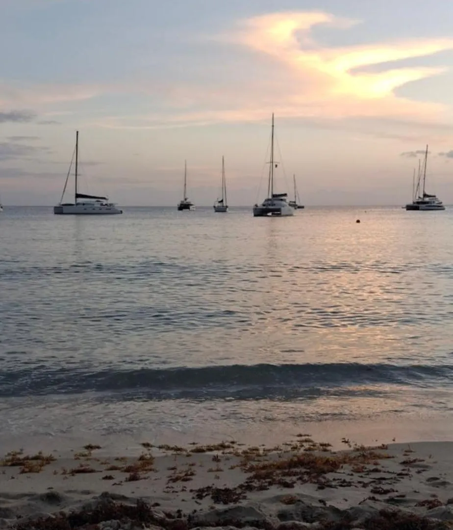 Hotel Ti Hamac - Nuit En Hamac Sous Un Carbet Partage Les Anses-d'Arlets 0*,  Martinica
